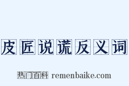 皮匠说谎反义词是什么意思的图片